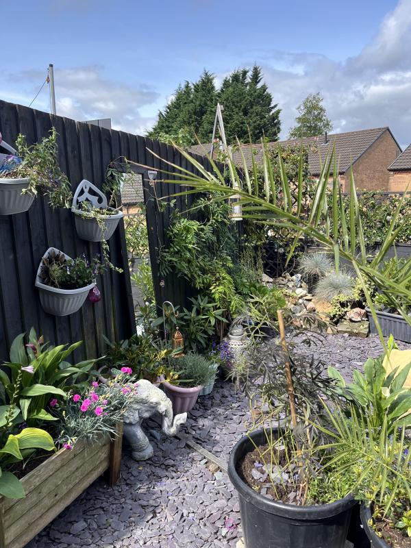 2 bedroom house in Caerau House Exchange