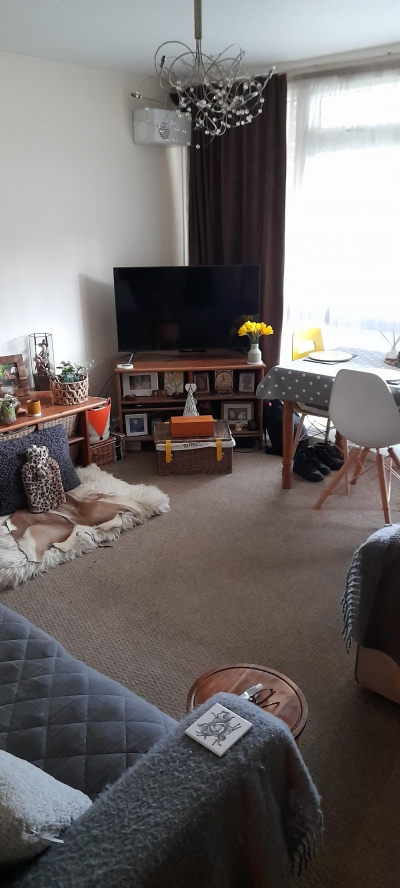 1   bedroom flat in London