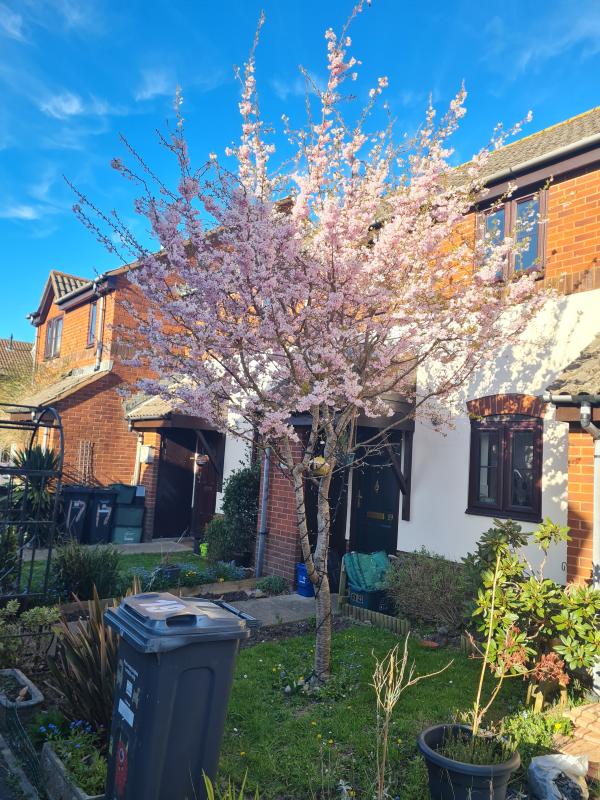 2 bedroom house in Seaton House Exchange
