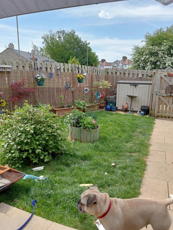 1 bedroom house in Warton House Exchange