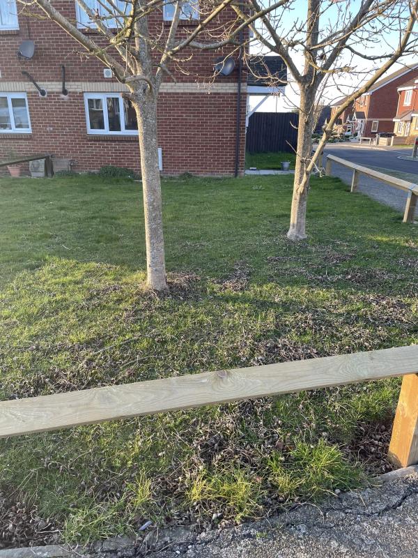 3 bedroom house in Seasalter House Exchange