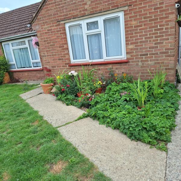 1 bedroom bungalow in Hatfield Peverel House Exchange