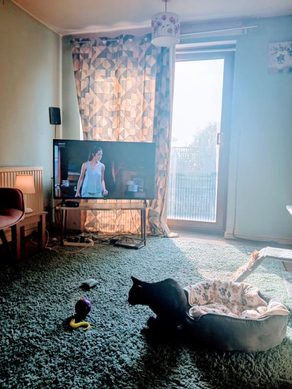 1 bedroom flat in Felixstowe House Exchange