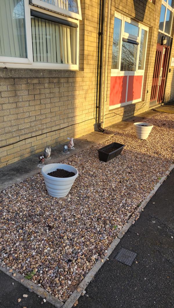 1 bedroom flat in Rumney House Exchange