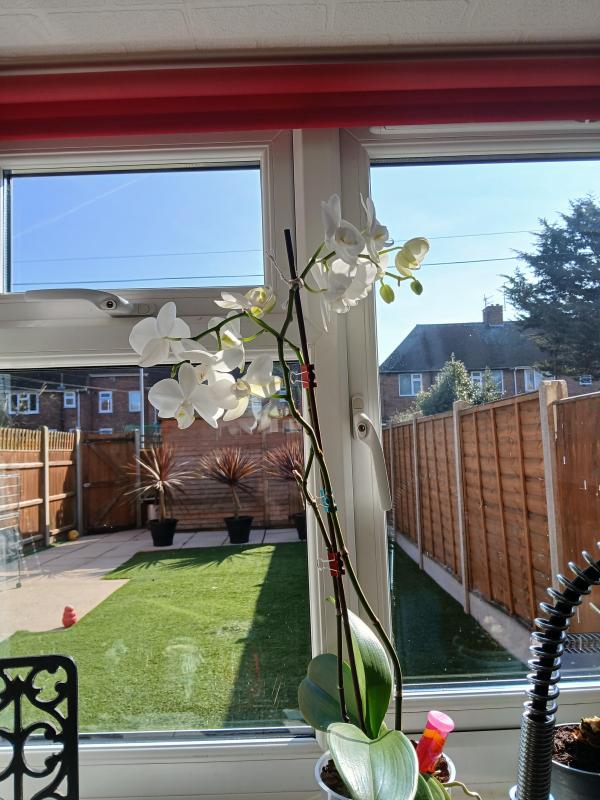 3 bedroom house in Great Yarmouth House Exchange