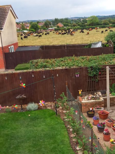 2 bedroom flat in Burton Upon Trent House Exchange