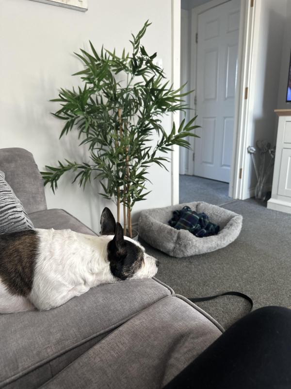 2 bedroom house in Milton Keynes House Exchange
