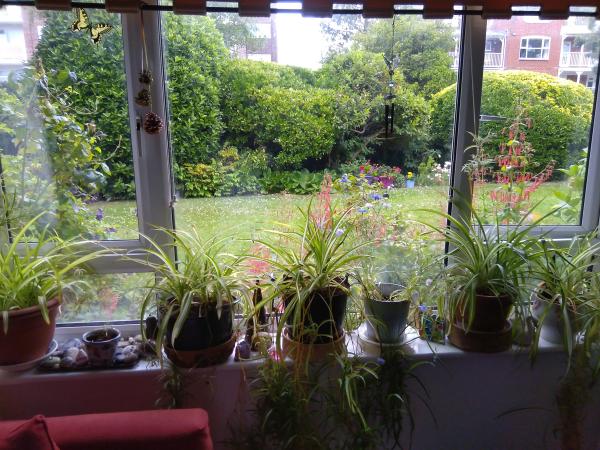 1 bedroom flat in Worthing House Exchange