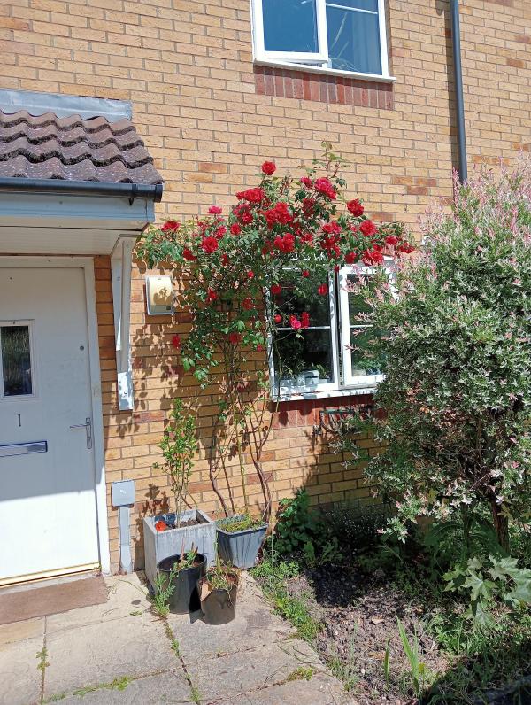3 bedroom house in Leighton Buzzard House Exchange