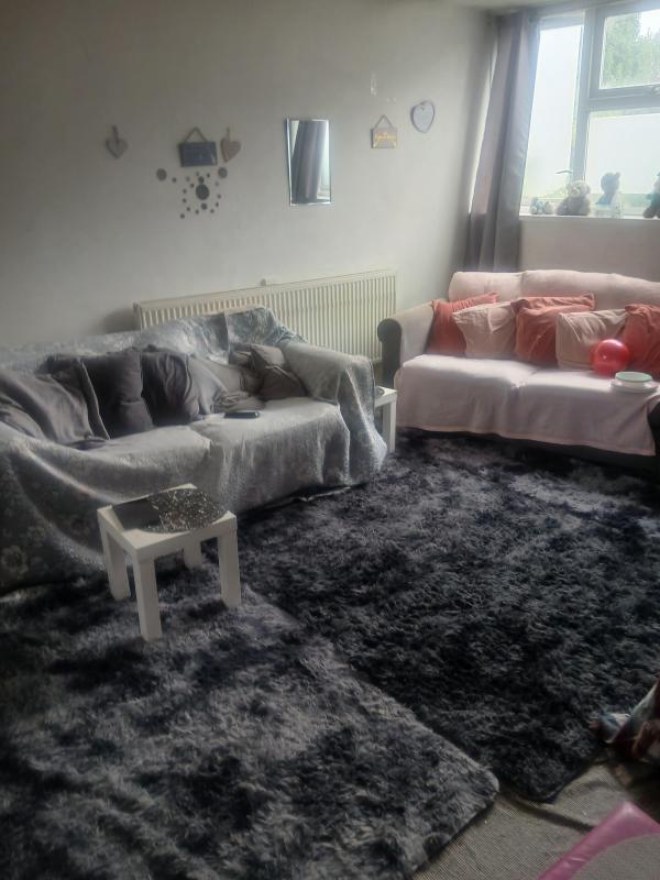 1 bedroom flat in Battersea House Exchange