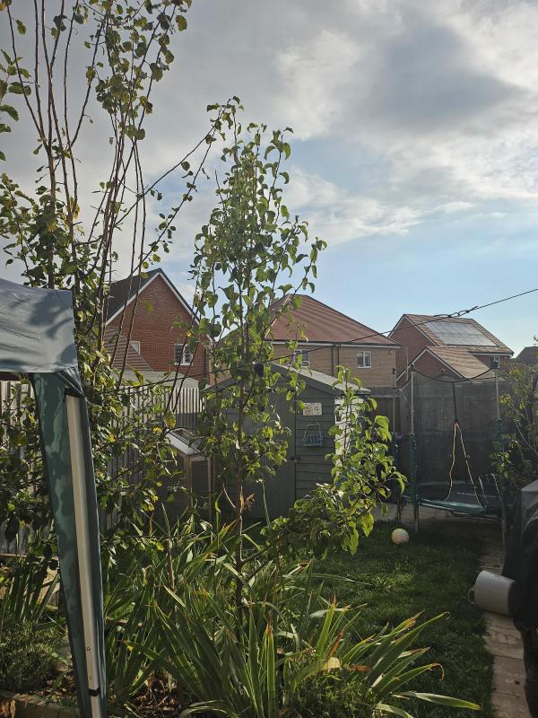 2 bedroom house in Rochford House Exchange