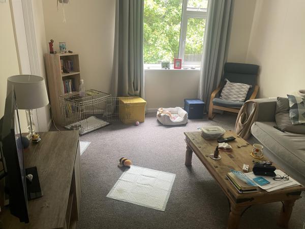 1 bedroom flat in Harrogate House Exchange