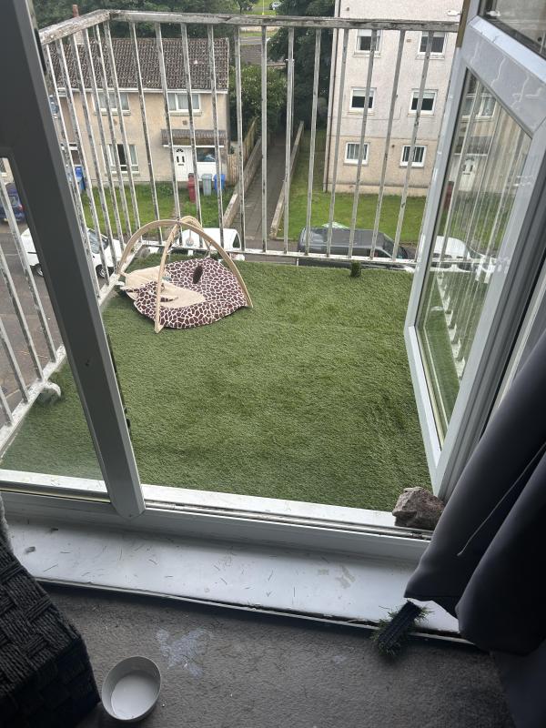 2 bedroom flat in East Kilbride House Exchange
