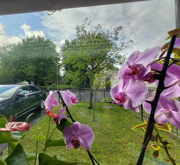 2 bedroom flat in Dalmarnock House Exchange
