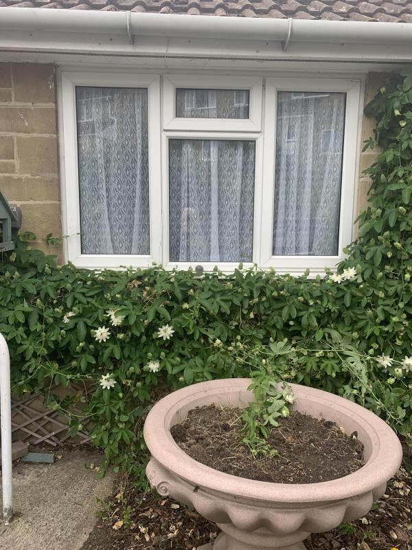 2 bedroom bungalow in South Petherton House Exchange