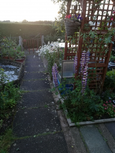 2 bedroom bungalow in Albrighton House Exchange