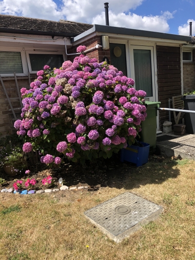 1   bedroom bungalow in Weymouth