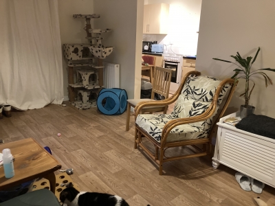 1   bedroom flat in Ashford